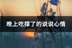 晚上吃撑了的说说心情(汇总82句)