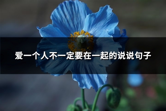 爱一个人不一定要在一起的说说句子(必备65句) 爱一个人不一定要在一起的说说句子(必备65句)