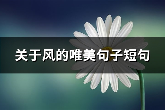 关于风的唯美句子短句(71句)