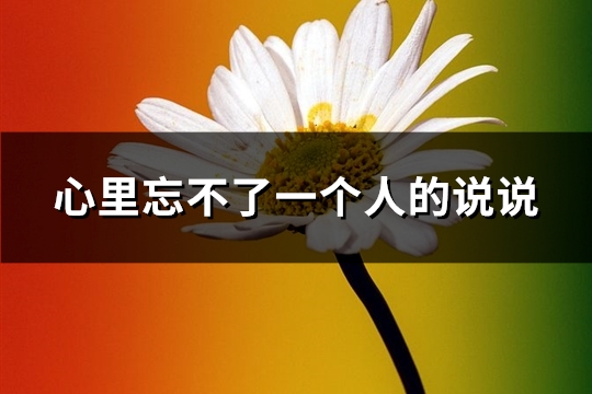 心里忘不了一个人的说说(推荐77句)