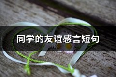 同学的友谊感言短句(推荐66句)