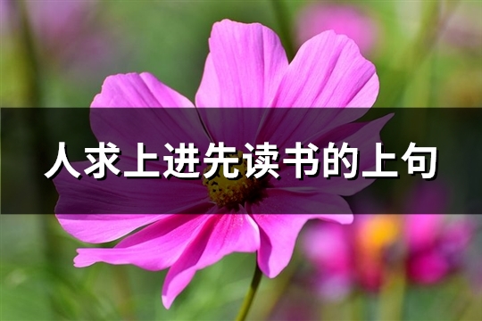 人求上进先读书的上句(推荐23句)