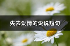 失去爱情的说说短句(共75句)