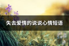 失去爱情的说说心情短语(优选57句)