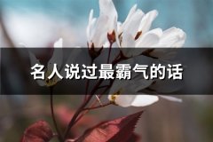 名人说过最霸气的话(69句)