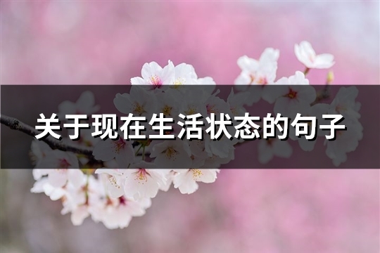 关于现在生活状态的句子(共83句)