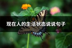 现在人的生活状态说说句子(精选66句)