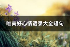 唯美好心情语录大全短句(汇总62句)