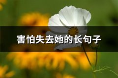 害怕失去她的长句子(共67句)