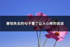 害怕失去的句子看了让人心疼的说说(通用89句)