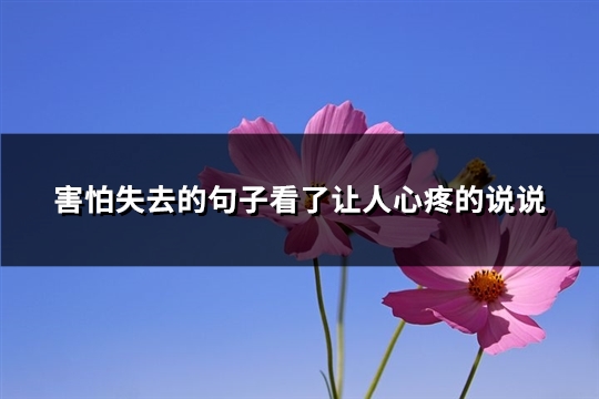害怕失去的句子看了让人心疼的说说(通用89句)