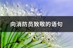 向消防员致敬的语句(精选61句)