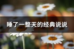 睡了一整天的经典说说(推荐97句)