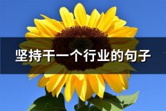 坚持干一个行业的句子(汇总70句)