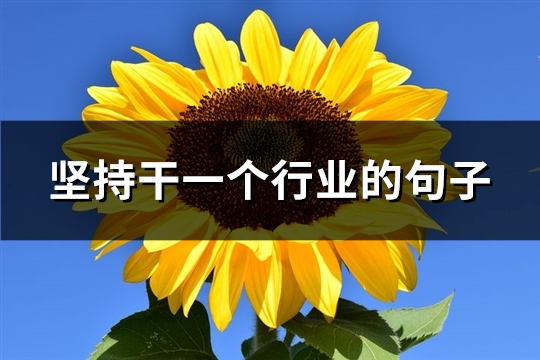 坚持干一个行业的句子(汇总70句)