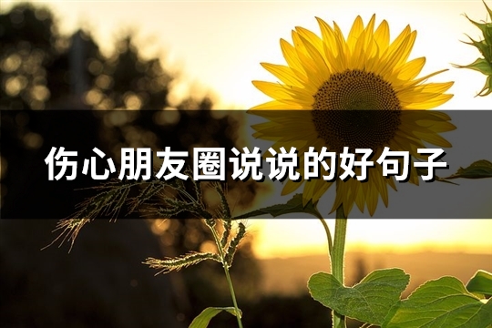 伤心朋友圈说说的好句子(推荐181句)