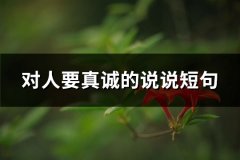 对人要真诚的说说短句(热门104句)