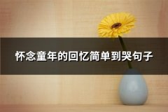 怀念童年的回忆简单到哭句子(必备60句)