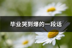 毕业哭到爆的一段话(精选67句)