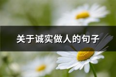 关于诚实做人的句子(共72句)