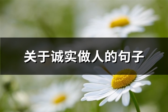 关于诚实做人的句子(共72句)