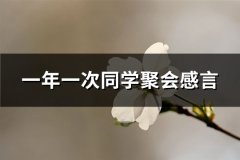 一年一次同学聚会感言(通用19句)