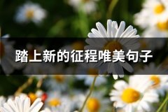 踏上新的征程唯美句子(65句)