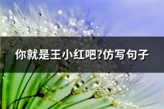 你就是王小红吧?仿写句子(汇总79句)