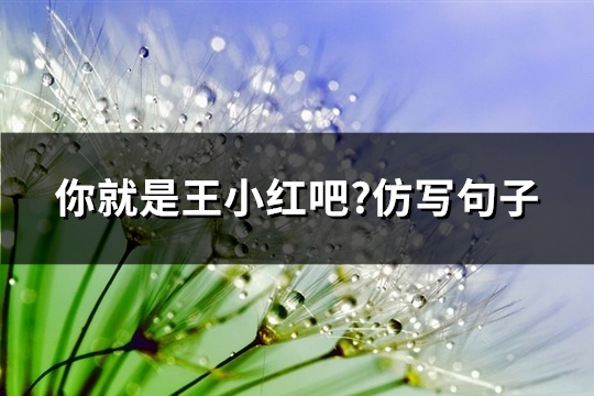 你就是王小红吧?仿写句子(汇总79句)