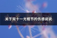 关于双十一光棍节的伤感说说(68句)