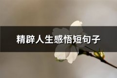 精辟人生感悟短句子(推荐65句)