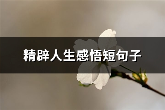 精辟人生感悟短句子(推荐65句)