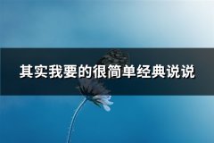 其实我要的很简单经典说说(必备78句)