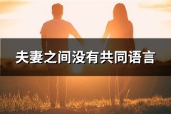 夫妻之间没有共同语言(必备41句)