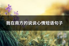 我在南方的说说心情短语句子(精选86句)