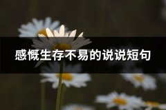 感慨生存不易的说说短句(通用65句)
