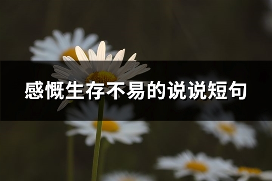 感慨生存不易的说说短句(通用65句)