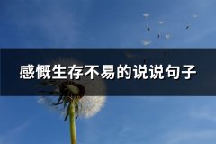 感慨生存不易的说说句子(汇总61句)