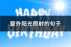 窗外阳光照射的句子(汇总72句)