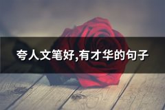 夸人文笔好,有才华的句子(必备74句)