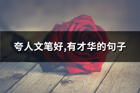 夸人文笔好,有才华的句子(必备74句)