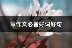 写作文必备好词好句(91句)