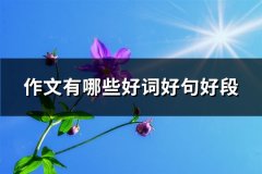 作文有哪些好词好句好段(共81句)