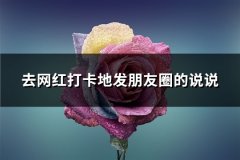 去网红打卡地发朋友圈的说说(推荐83句)