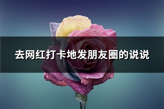 去网红打卡地发朋友圈的说说(推荐83句)