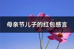 母亲节儿子的红包感言(优选67句)
