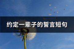 约定一辈子的誓言短句(热门59句)
