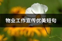 物业工作宣传优美短句(热门73句)