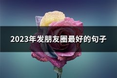 2023年发朋友圈最好的句子(热门86句)