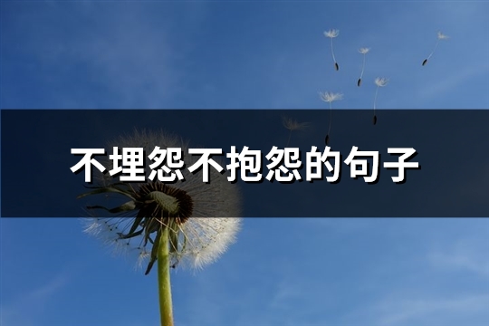 不埋怨不抱怨的句子(精选85句)(不埋怨不抱怨的图片)